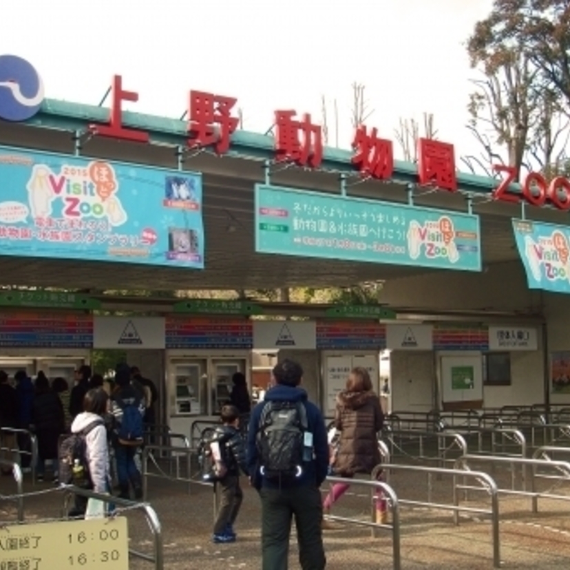 上野動物園周辺のおすすめ駐車場15選！安いところは？予約はできるの？