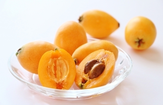 枇杷