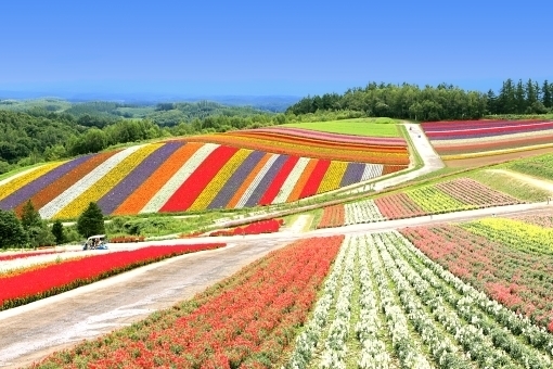 北海道