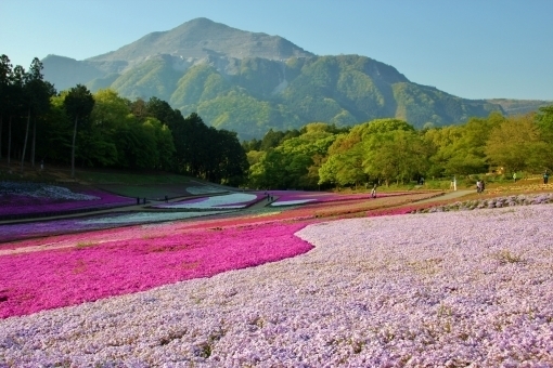 埼玉県秩父市