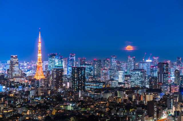 東京の夜景