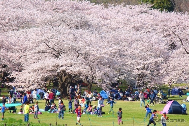 国営昭和記念公園