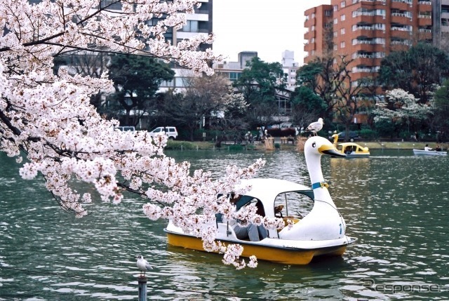 上野恩賜公園